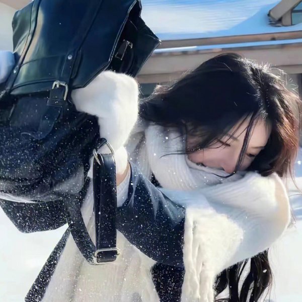 暹罗女王海报